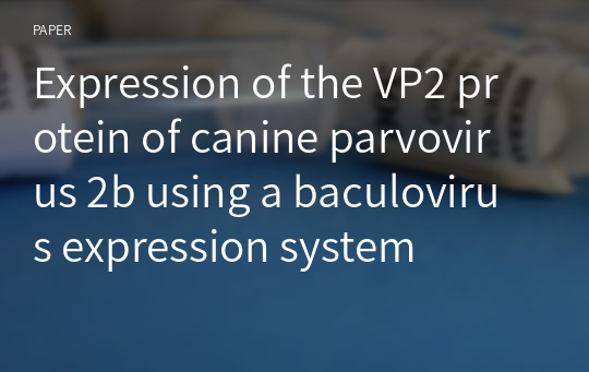 Expression of the VP2 protein of canine parvovirus 2b using a baculovirus expression system