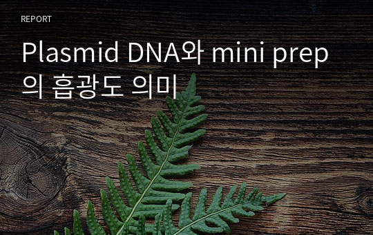 Plasmid DNA와 mini prep의 흡광도 의미