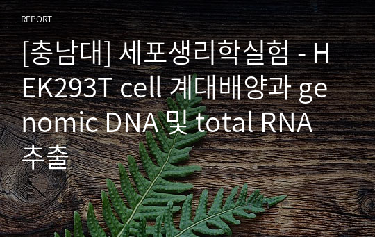 [충남대] 세포생리학실험 - HEK293T cell 계대배양과 genomic DNA 및 total RNA 추출