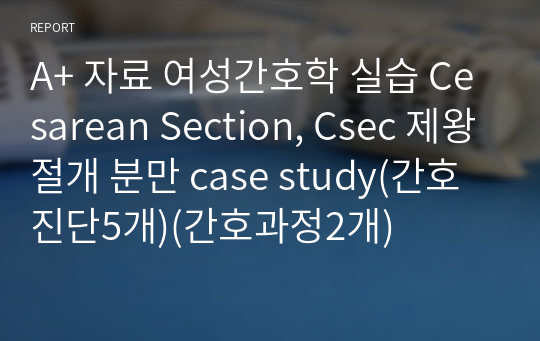 A+ 자료 여성간호학 실습 Cesarean Section, Csec 제왕절개 분만 case study(간호진단5개)(간호과정2개)