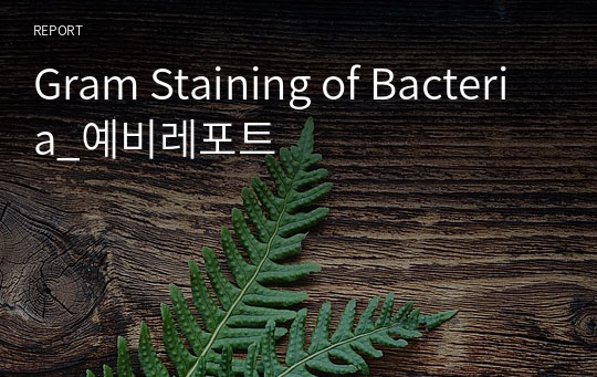 Gram Staining of Bacteria_예비레포트