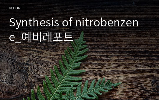 Synthesis of nitrobenzene_예비레포트