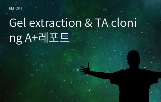 Gel extraction &amp; TA cloning A+레포트