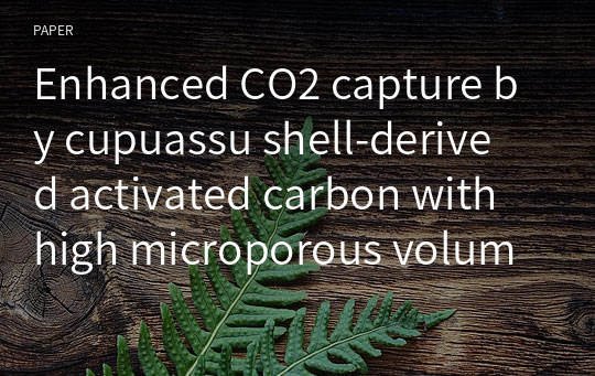 Enhanced CO2 capture by cupuassu shell‑derived activated carbon with high microporous volume