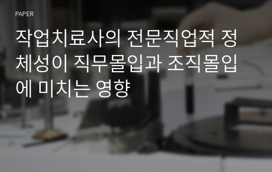 작업치료사의 전문직업적 정체성이 직무몰입과 조직몰입에 미치는 영향