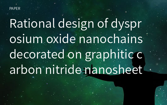 Rational design of dysprosium oxide nanochains decorated on graphitic carbon nitride nanosheet for the electrochemical sensing of riboflavin in food samples