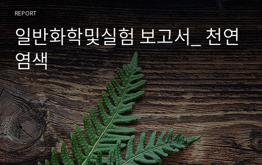 일반화학및실험 보고서_ 천연염색