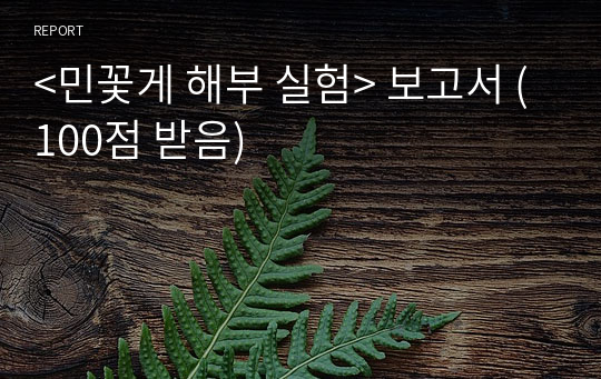 &lt;민꽃게 해부 실험&gt; 보고서 (100점 받음)