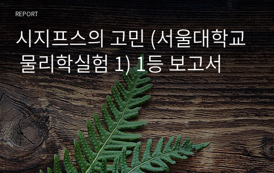 시지프스의 고민 (서울대학교 물리학실험 1) 1등 보고서