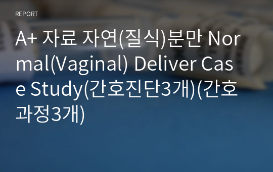 A+ 자료 자연(질식)분만 Normal(Vaginal) Deliver Case Study(간호진단3개)(간호과정3개)