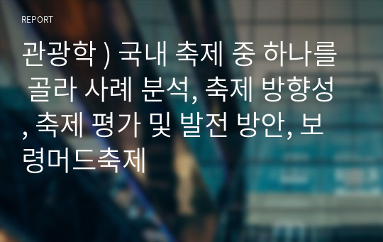 관광학 ) 국내 축제 중 하나를 골라 사례 분석, 축제 방향성, 축제 평가 및 발전 방안, 보령머드축제