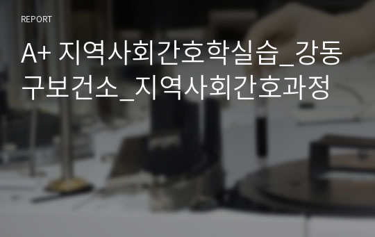 A+ 지역사회간호학실습_강동구보건소_지역사회간호과정