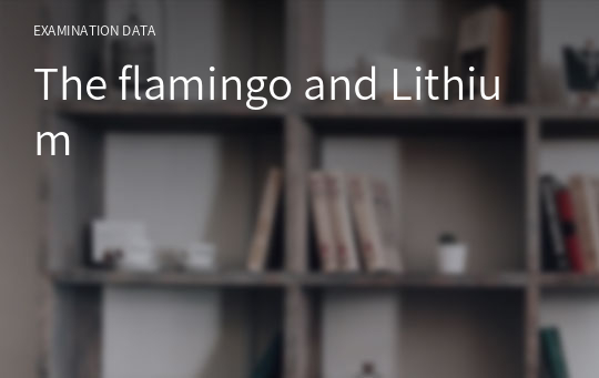 The flamingo and Lithium