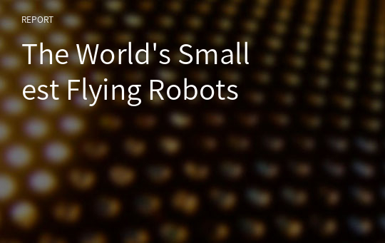 The World&#039;s Smallest Flying Robots