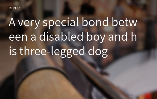 A very special bond between a disabled boy and his three-legged dog