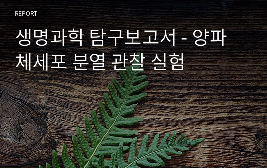 생명과학 탐구보고서 - 양파체세포 분열 관찰 실험