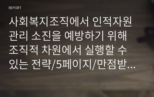 사회복지조직에서 인적자원관리 소진을 예방하기 위해 조직적 차원에서 실행할 수 있는 전략/5페이지/만점받은 레포트