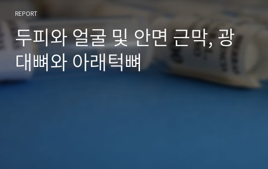 두피와 얼굴 및 안면 근막, 광대뼈와 아래턱뼈