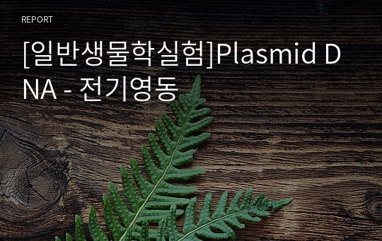 [일반생물학실험]Plasmid DNA - 전기영동