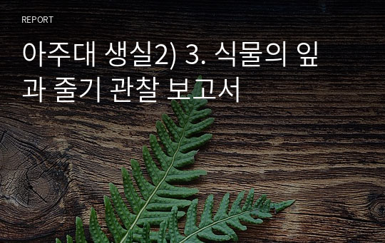 아주대 생실2) 3. 식물의 잎과 줄기 관찰 보고서