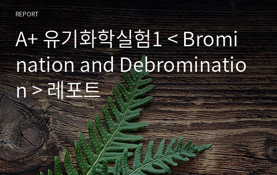 A+ 유기화학실험1 &lt; Bromination and Debromination &gt; 레포트