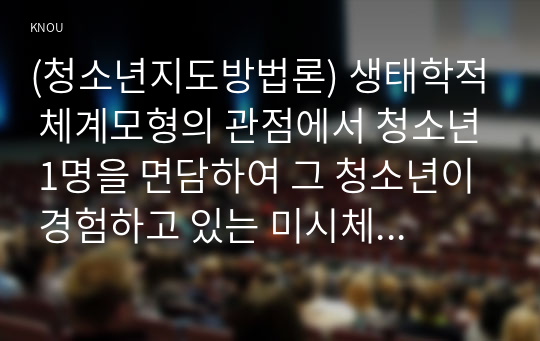 (청소년지도방법론) 생태학적 체계모형의 관점에서 청소년 1명을 면담하여 그 청소년이 경험하고 있는 미시체계의