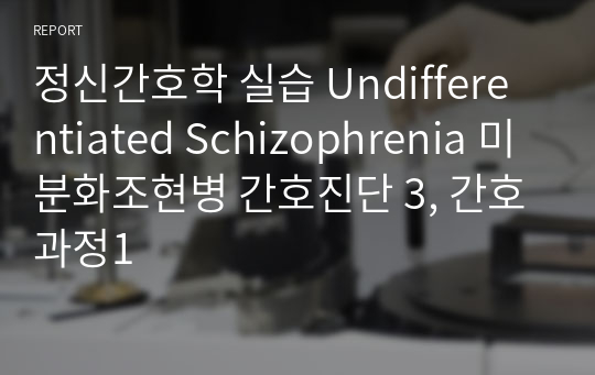 정신간호학 실습 Undifferentiated Schizophrenia 미분화조현병 간호진단 3, 간호과정1