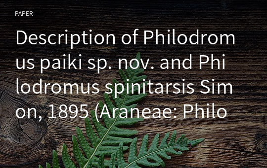 Description of Philodromus paiki sp. nov. and Philodromus spinitarsis Simon, 1895 (Araneae: Philodromidae) from Korea