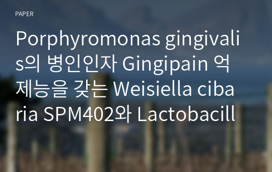 Porphyromonas gingivalis의 병인인자 Gingipain 억제능을 갖는 Weisiella cibaria SPM402와 Lactobacillus paracasei SPM412