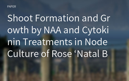 Shoot Formation and Growth by NAA and Cytokinin Treatments in Node Culture of Rose ‘Natal Briar’ and ‘Deep Purple’