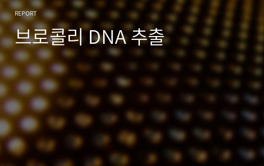브로콜리 DNA 추출