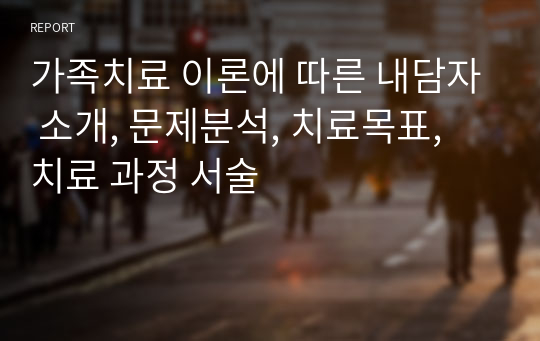 가족치료 이론에 따른 내담자 소개, 문제분석, 치료목표, 치료 과정 서술