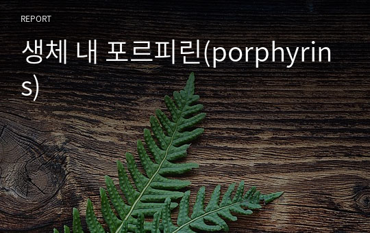 생체 내 포르피린(porphyrins)