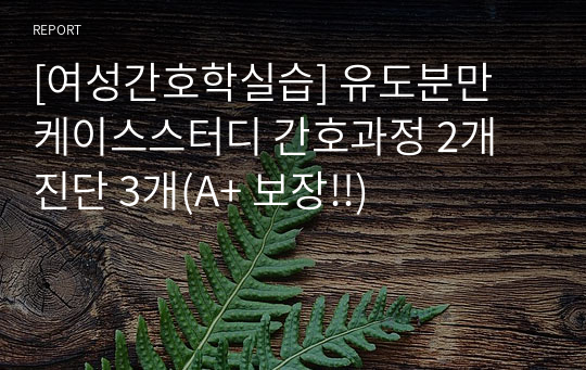 [여성간호학실습] 유도분만 케이스스터디 간호과정 2개 진단 3개(A+ 보장!!)