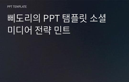 삐도리의 PPT 탬플릿 소셜 미디어 전략 민트