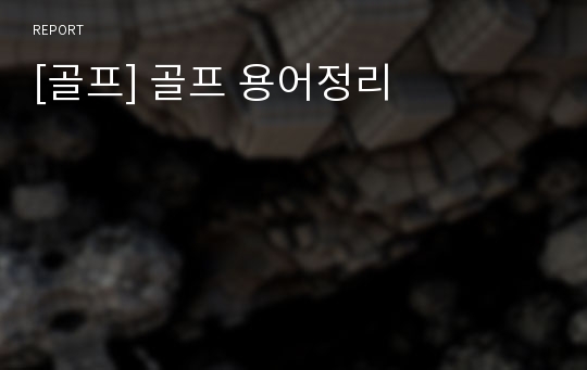 [골프] 골프 용어정리