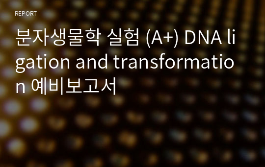분자생물학 실험 (A+) DNA ligation and transformation 예비보고서