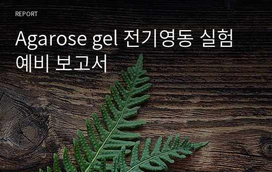 Agarose gel 전기영동 실험 예비 보고서