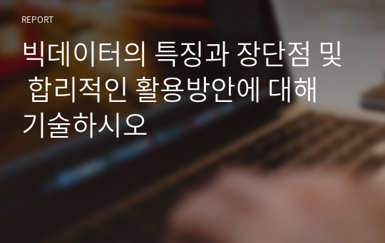 빅데이터의 특징과 장단점 및 합리적인 활용방안에 대해 기술하시오