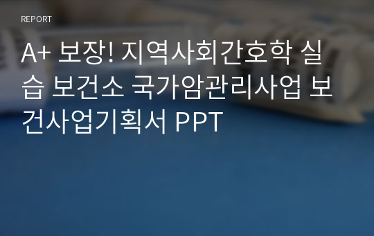 A+ 보장! 지역사회간호학 실습 보건소 국가암관리사업 보건사업기획서 PPT