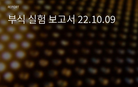 부식 실험 보고서 22.10.09