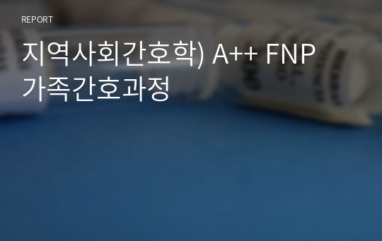 지역사회간호학) A++ FNP 가족간호과정