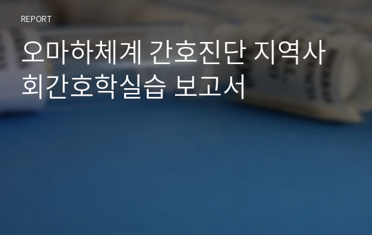 오마하체계 간호진단 지역사회간호학실습 보고서