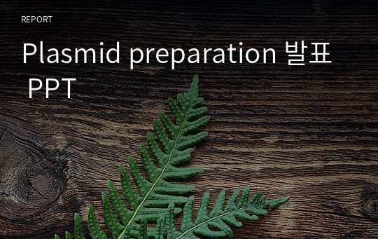 Plasmid preparation 발표 PPT