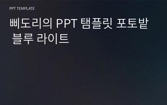 삐도리의 PPT 탬플릿 포토밭 블루 라이트