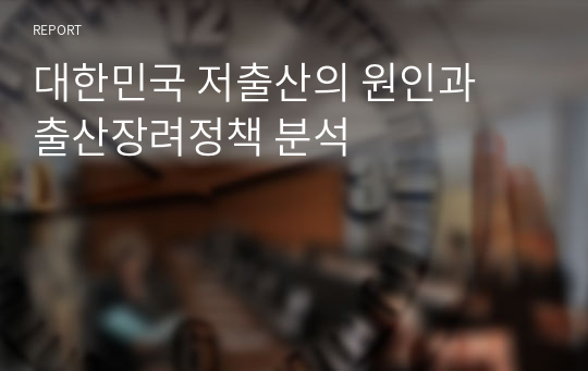 대한민국 저출산의 원인과  출산장려정책 분석