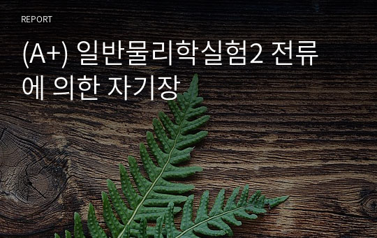 (A+) 일반물리학실험2 전류에 의한 자기장