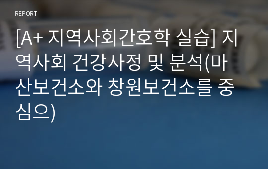 [A+ 지역사회간호학 실습] 지역사회 건강사정 및 분석(마산보건소와 창원보건소를 중심으)