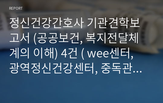 정신건강간호사 기관견학보고서 (공공보건, 복지전달체계의 이해) 4건 ( wee센터, 광역정신건강센터, 중독관리센터, 광역치매센터)