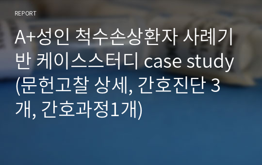 A+성인 척수손상환자 사례기반 케이스스터디 case study(문헌고찰 상세, 간호진단 3개, 간호과정1개)